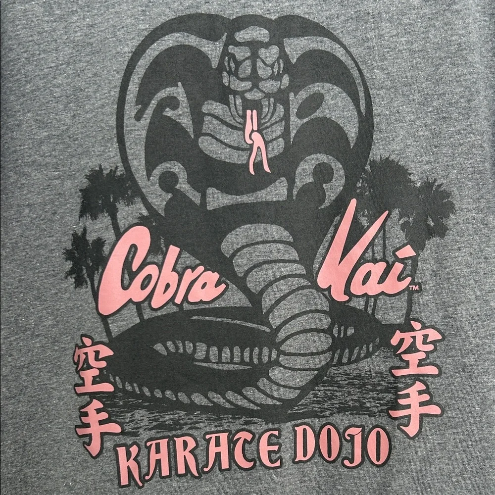 Old Navy Gray Cobra Kai Karate Dojo Tee size kids L 10-12